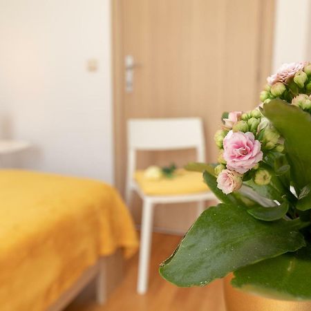 Apartment Nik - Cosy And Stylish ドゥブロブニク エクステリア 写真